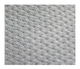Closeup - Outside