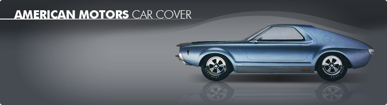 Custom Car Cover