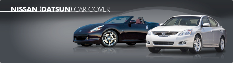 Custom Car Cover