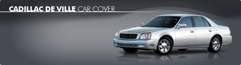 Custom Car Cover