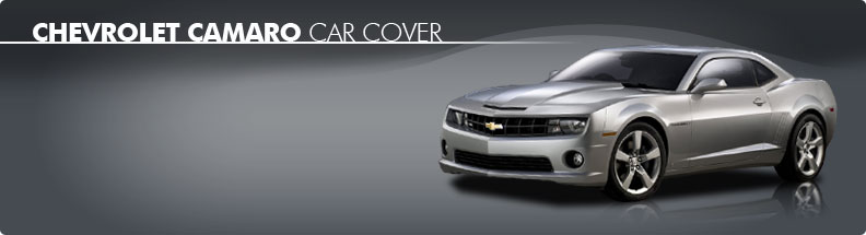 Custom Car Cover