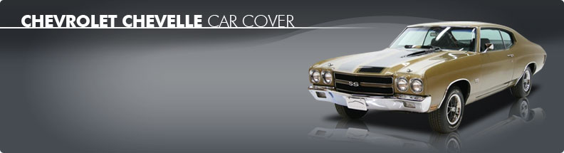 Custom Car Cover