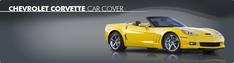 Custom Car Cover