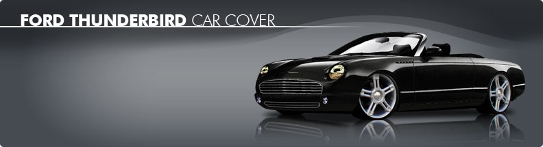 Custom Car Cover