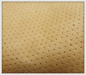 /images/upload/product/Optimumshield Cover